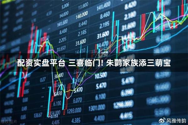 配资实盘平台 三喜临门! 朱鹮家族添三萌宝